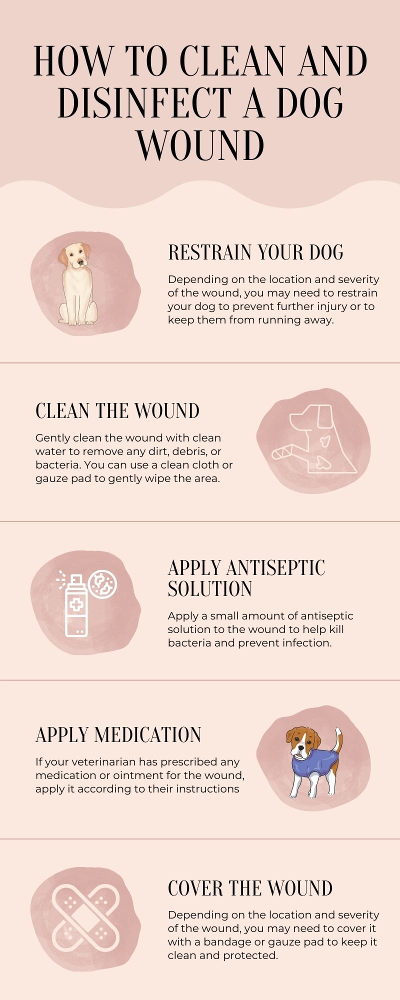 Ultimate Guide To Dog Wound Care How To Clean, Treat, And Prevent